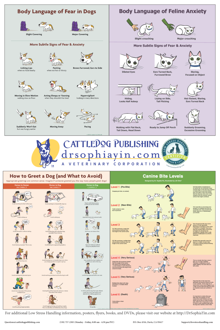 Poster Download – CattleDog Publishing