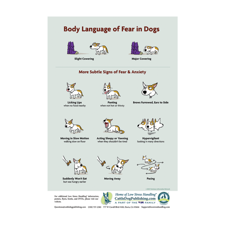 body-language-of-fear-in-dogs-poster-free-download-or-donation