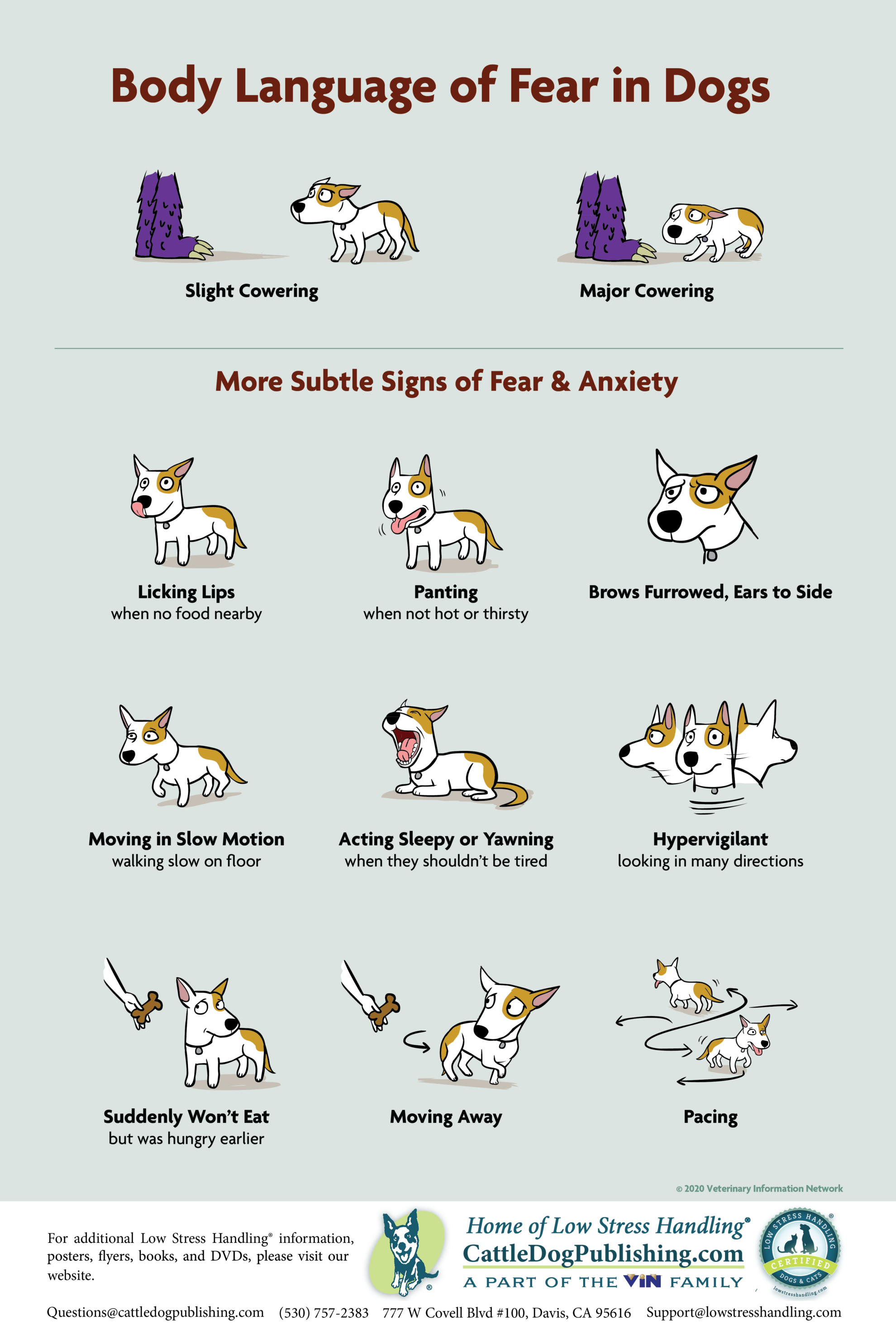 Body Language Of Fear In Dogs Poster (free Download Or Donation 