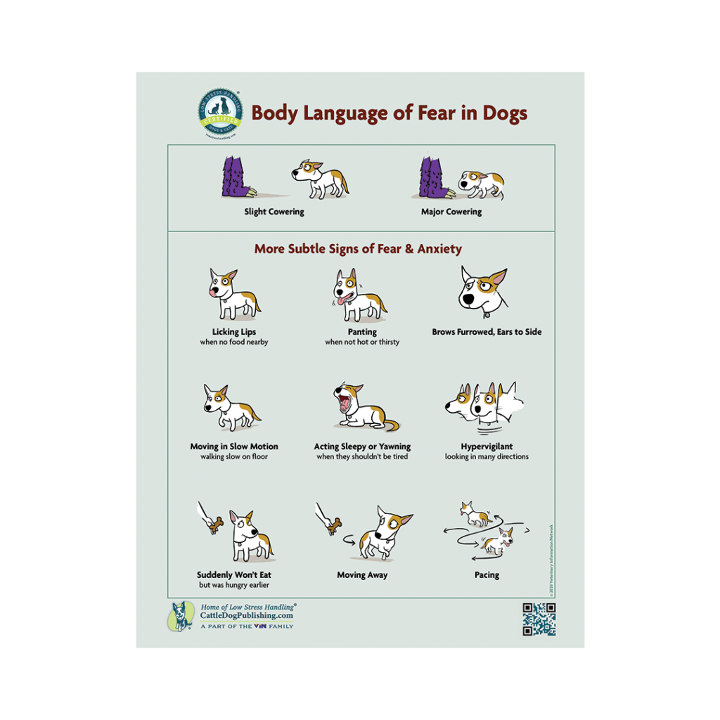 Body Language of Fear in Dogs (Packet of 25 Handouts) – CattleDog ...