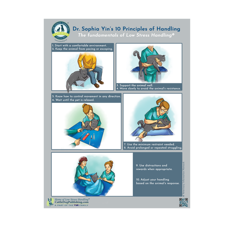 Dr. Yin’s 10 Principles of Handling Cat Poster (Packet of 25 Handouts ...