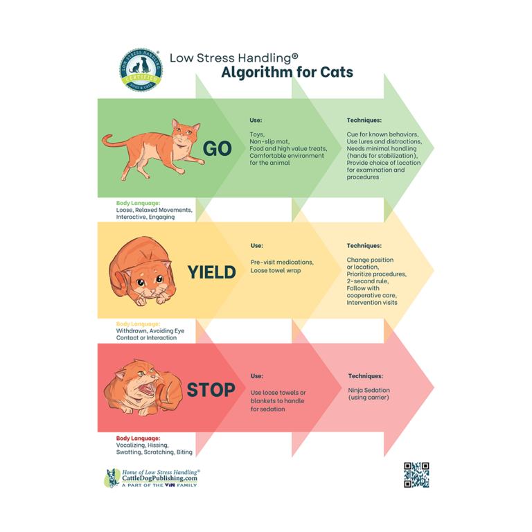 Low Stress Handling® Algorithm of Cats (Packet of 25 Handouts ...