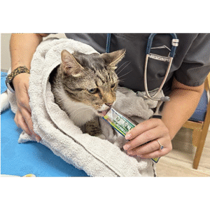 Feline Low Stress Handling® Algorithm and Towel Wrap