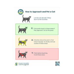 How to Approach and Pet a Cat Poster (Pack of 25 Handouts)